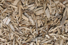 biomass boilers Colemere